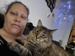Lost Female Cat last seen 163rd and baseline, Beaverton, OR 97006