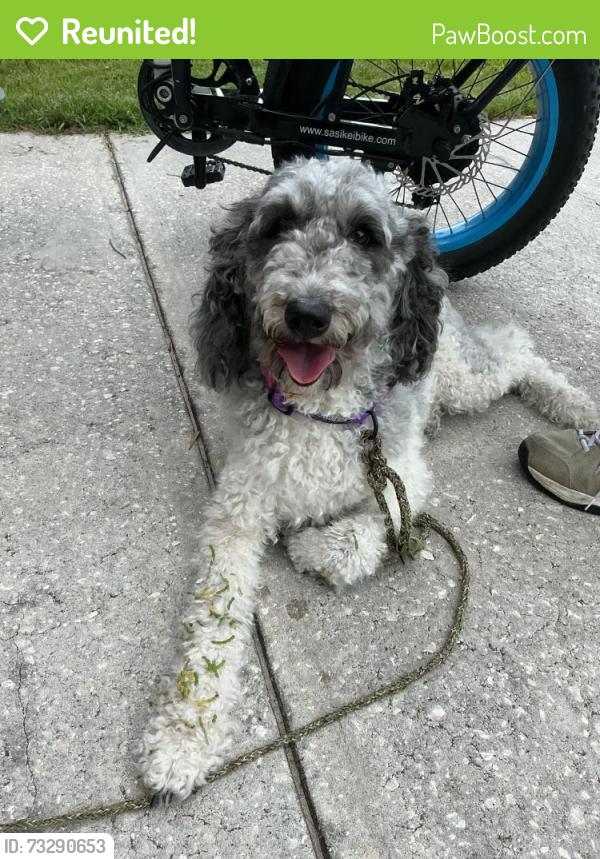 Reunited Unknown Dog last seen Barber St., Sebastian, FL 32958