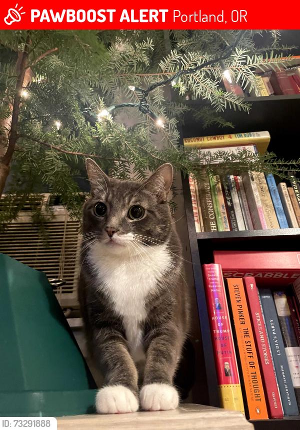 Lost Male Cat last seen Sandy and Skidmore, Portland, OR 97220