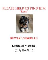 Lost Male Dog last seen Parker Mountain Rd, Chula Vista, CA 91913