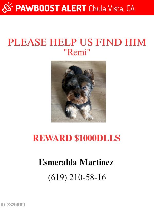 Lost Male Dog last seen Parker Mountain Rd, Chula Vista, CA 91913