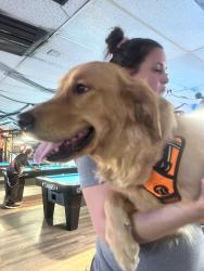 Reunited Male Dog last seen Near E Jewell Ave, Denver, CO 80210