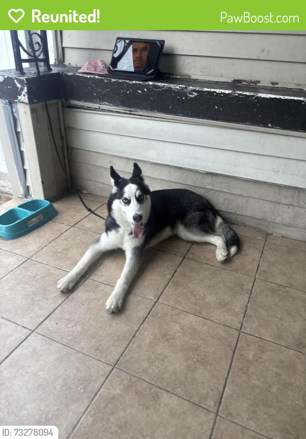 Reunited Male Dog last seen Near Dahill Rd, Brooklyn, NY 11204, Brooklyn, NY 11204