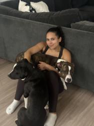 Reunited Female Dog last seen Near Interplace Rd, San Antonio, TX 78249, USA, San Antonio, TX 78249