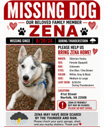 Reunited Female Dog last seen Old Dominion University, Norfolk, VA 23508