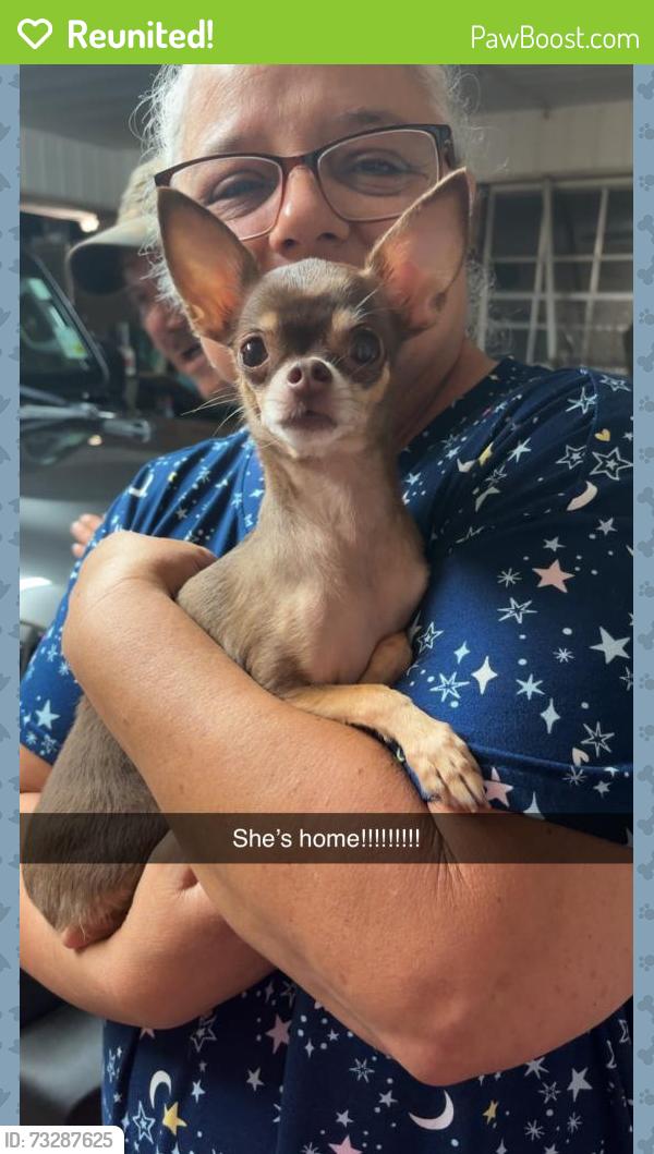 Reunited Female Dog last seen Brothers Road and Woodrich Lane, Lafayette, LA 70507