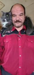 Lost Male Cat last seen San Patricio place and limberlost, Tucson, AZ 85705