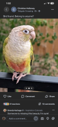 Found/Stray Male Bird last seen Tollgate crossing /gun club rd, Aurora, CO 80016