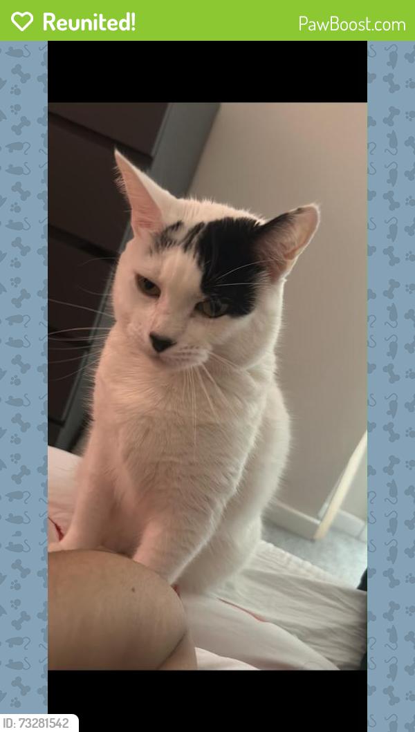 Reunited Female Cat last seen Panshanger Park, Hertfordshire, England SG14 2GZ