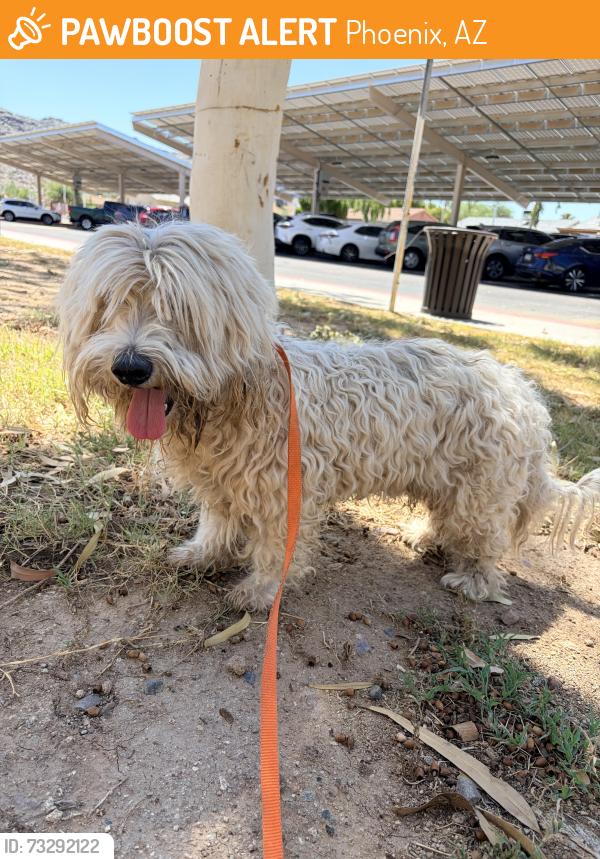 Found/Stray Male Dog last seen E Southern Ave & South 24th Street, Phoenix, AZ 85042