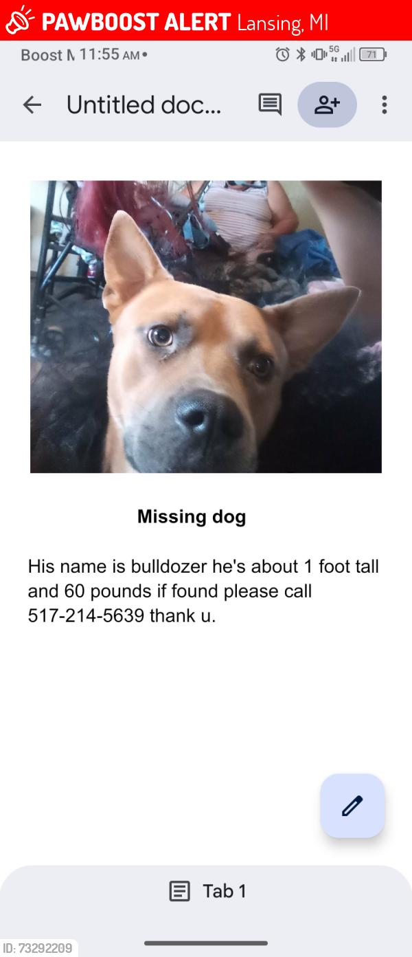 Lost Male Dog last seen Christian church, Lansing, MI 48911