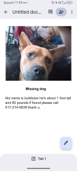 Lost Male Dog last seen Christian church, Lansing, MI 48911