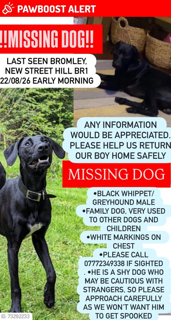 Lost Male Dog last seen New street hill, Greater London, England BR1