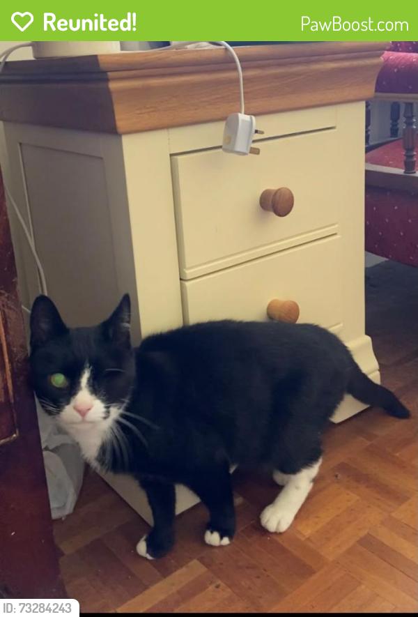 Reunited Male Cat last seen Rannock Road, Crowborough, England 