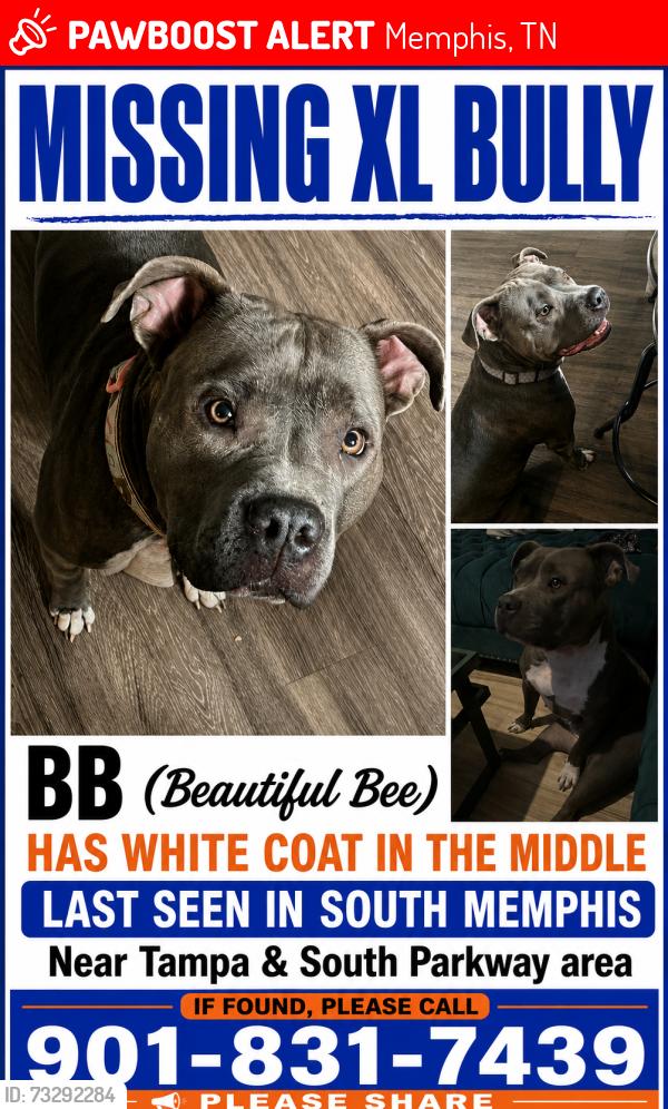 Lost Female Dog last seen Tampa near Mallory, Memphis, TN 38106
