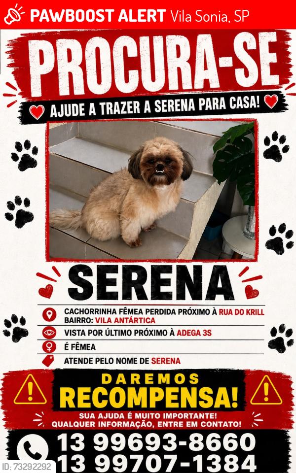 Lost Female Dog last seen Esquina com o krill vila sonia, Vila Sonia, SP 