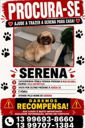 Lost Female Dog last seen Esquina com o krill vila sonia, Vila Sonia, SP 