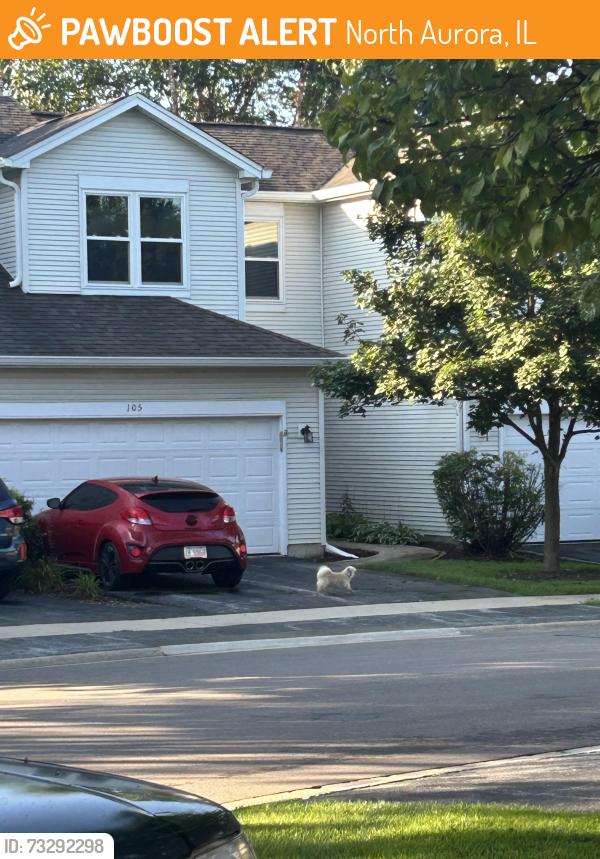 Found/Stray Unknown Dog last seen Seen on Lilac lane, headed east on Butterfield rd, North Aurora, IL 60542
