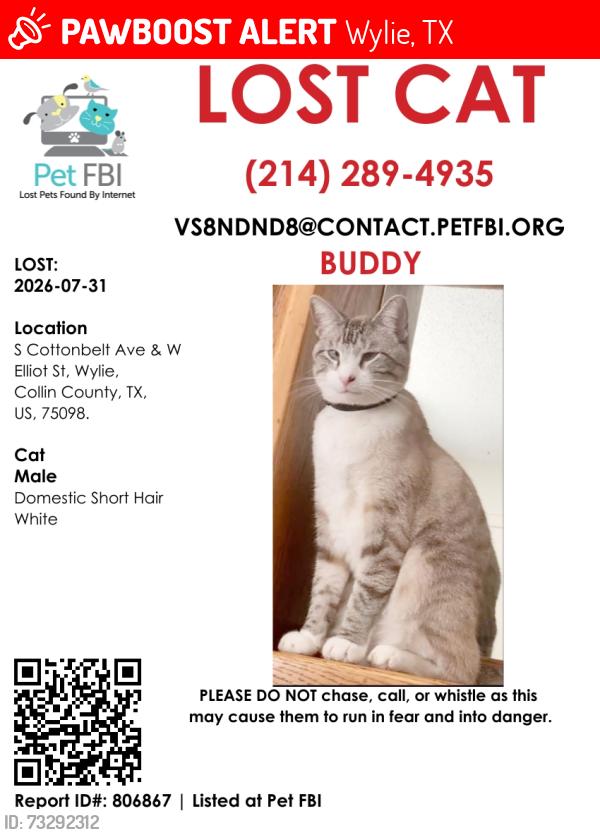 Lost Male Cat last seen WINDING OAK, Wylie, TX 75098