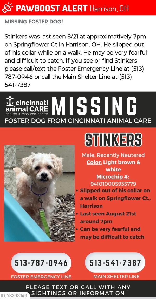 Lost Male Dog last seen Mockernut and Baughman in Dry Fork Creek, Harrison, OH 45030