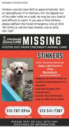 Lost Male Dog last seen Mockernut and Baughman in Dry Fork Creek, Harrison, OH 45030