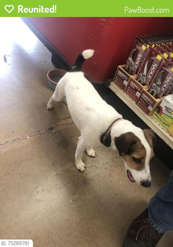 Reunited Unknown Dog last seen White chapel blvd and 114 hwy rd, Southlake, TX 76092