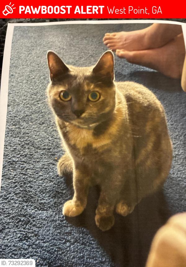 Lost Female Cat last seen Grayhill, West Point, GA 31833