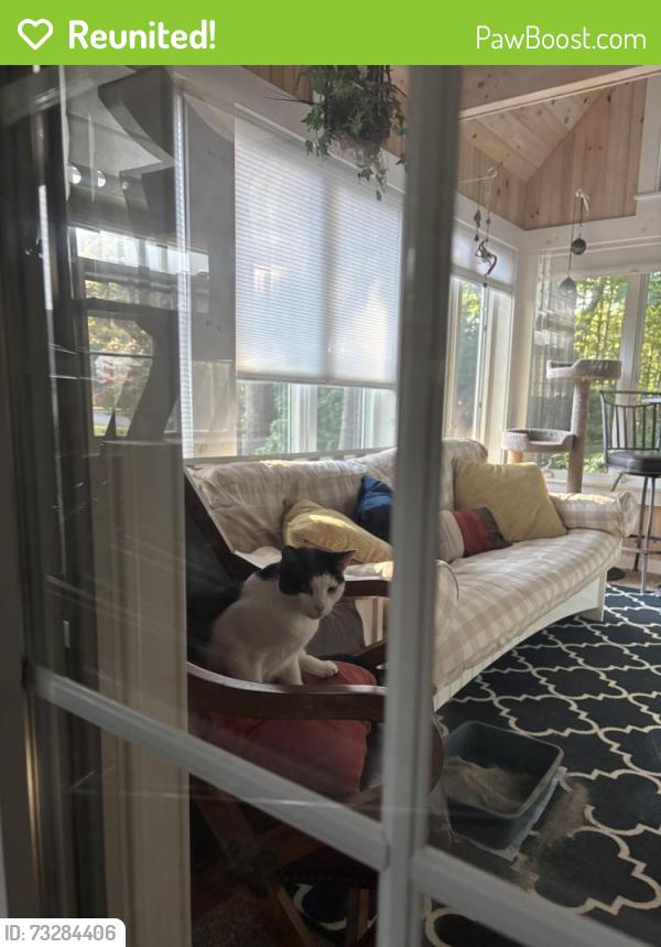 Reunited Unknown Cat last seen Near Bailey’s Seafood restaurant, Scarborough, ME 04074