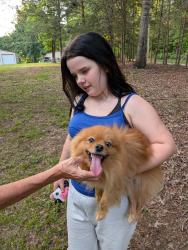 Reunited Male Dog last seen Jones Rd Mebane NC, Alamance County, NC 27258