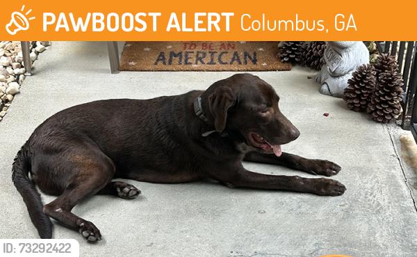 Found/Stray Male Dog last seen Double Churches Rd & Britton Dr, Columbus, GA 31904