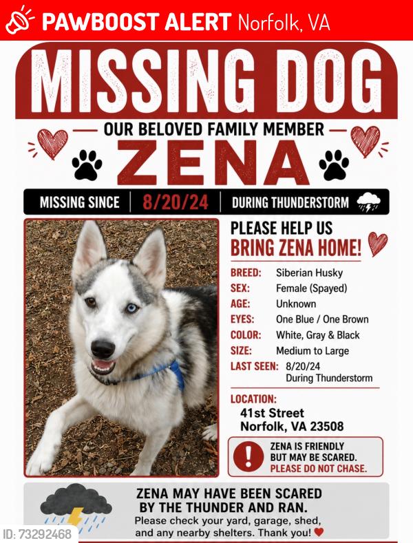 Lost Female Dog last seen Bluestone in Elkhorn, Norfolk, VA 23508