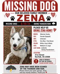 Lost Female Dog last seen Bluestone in Elkhorn, Norfolk, VA 23508