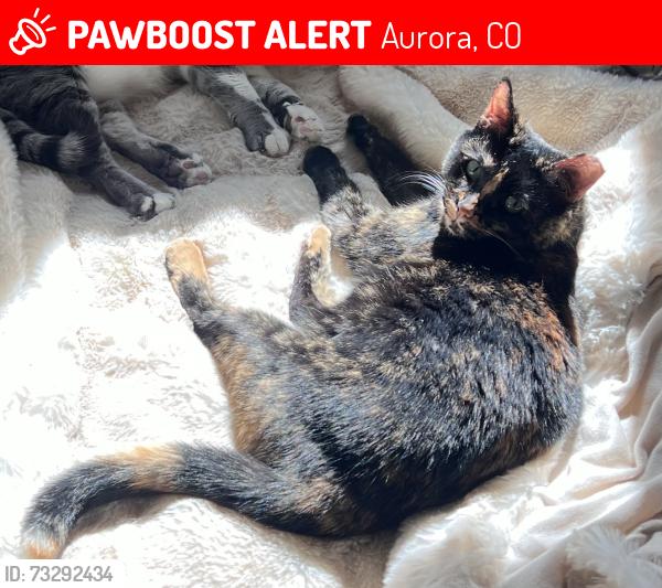 Lost Female Cat last seen Peoria and Mississippi, Aurora, CO 80012