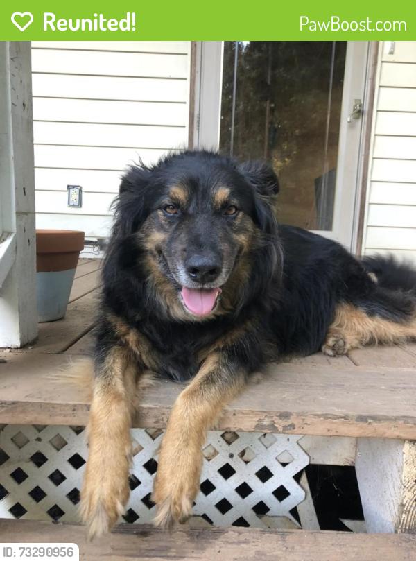 Reunited Male Dog last seen Dry Ponds Rd Granite Falls NC, Granite Falls, NC 28630