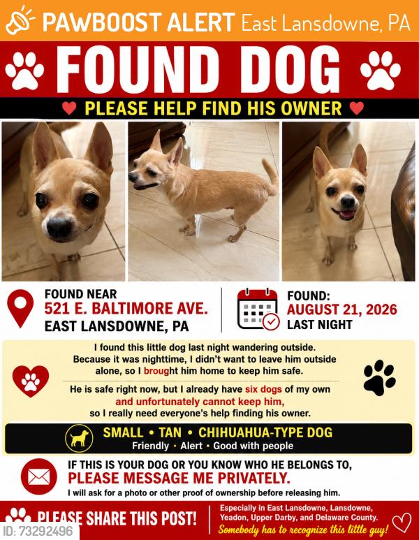 Found/Stray Male Dog last seen Near Baltimore Avenue, East Lansdowne, PA 19050
