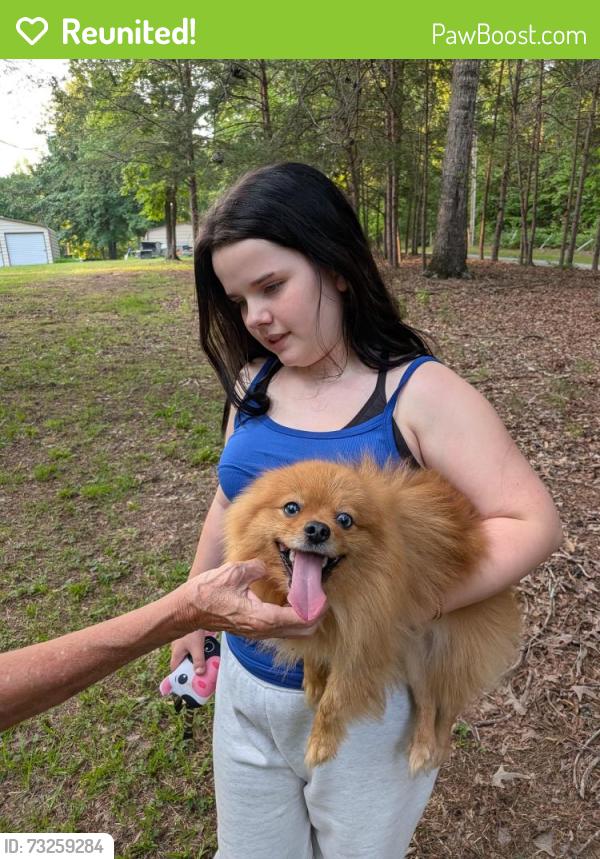 Reunited Male Dog last seen Jones Rd Mebane NC, Alamance County, NC 27258