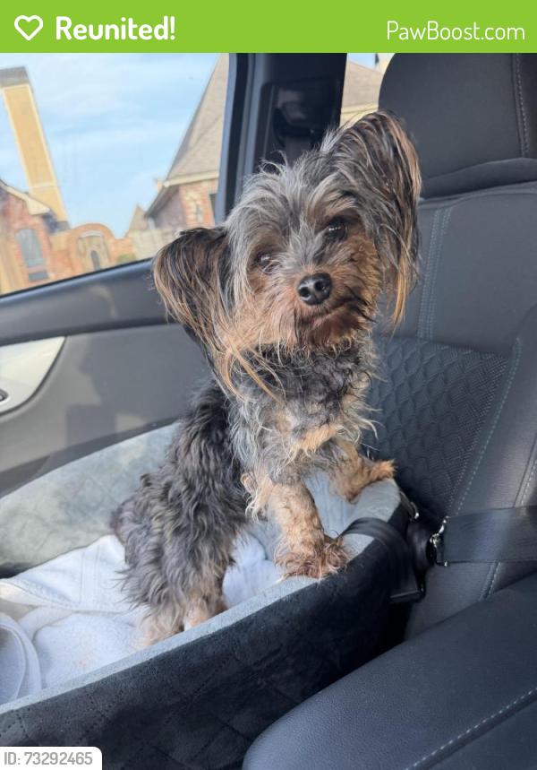 Reunited Unknown Dog last seen Mirada Ln, Louisiana 70508, USA, Lafayette Parish, LA 70508