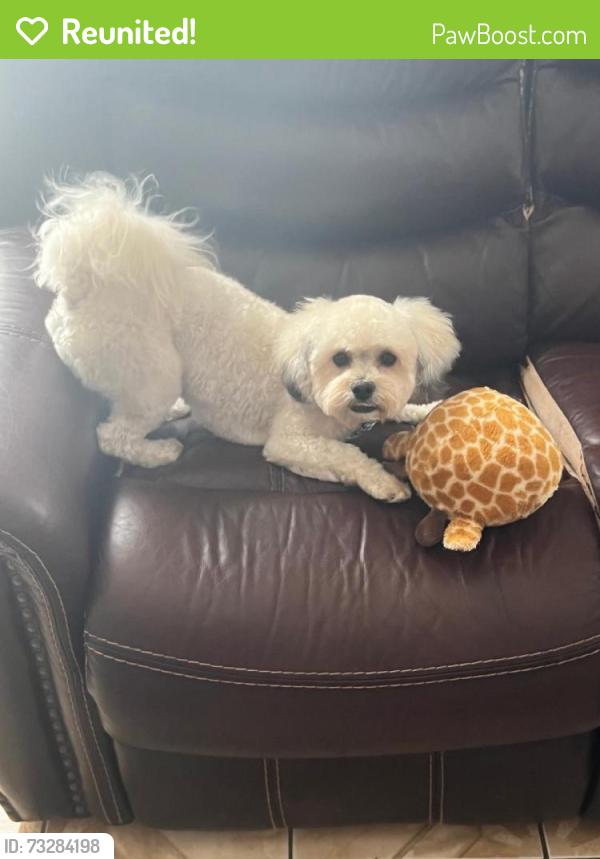 Reunited Male Dog last seen Great Southwest Parkway and Mayfield, Grand Prairie, TX 75052