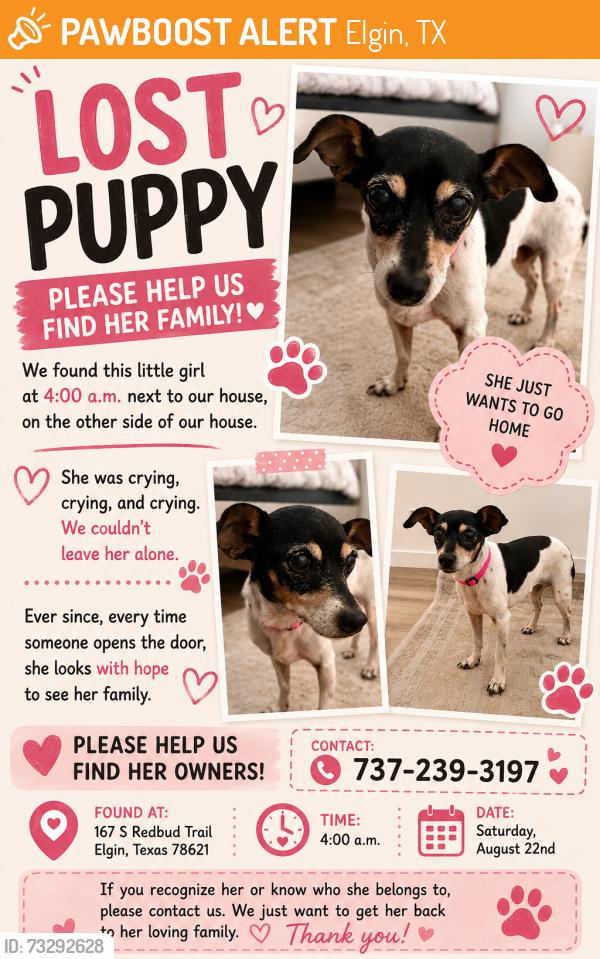 Found/Stray Female Dog last seen Other side of our property, Elgin, TX 78621