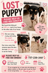 Found/Stray Female Dog last seen Other side of our property, Elgin, TX 78621