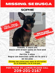 Lost Female Dog last seen Sutter St and HWY 140, Planada, CA 95365