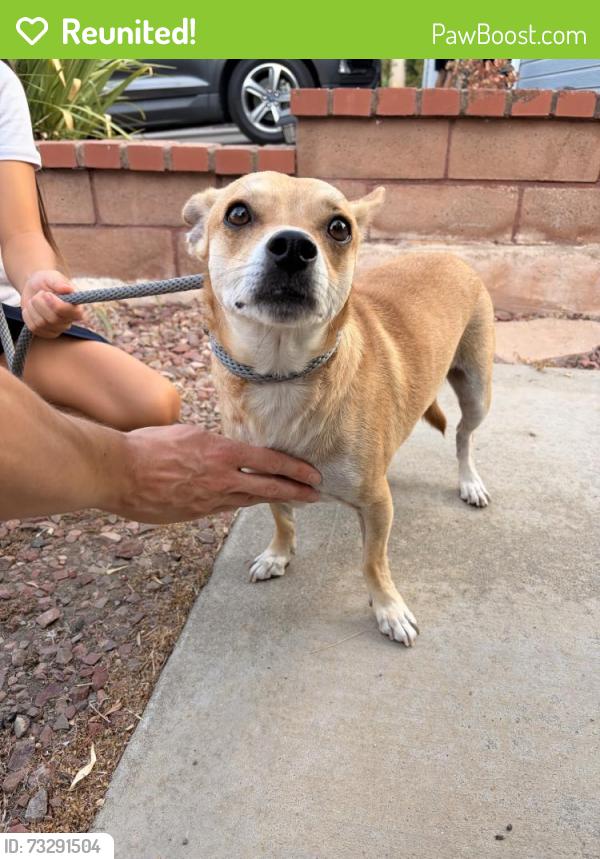 Reunited Unknown Dog last seen Guajome Lake, Oceanside, CA 92056, USA, Oceanside, CA 92056