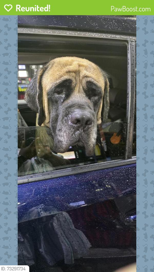 Reunited Male Dog last seen NC 210 and Old Fairground Road, Angier, NC 27501
