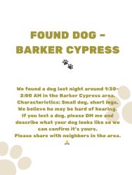 Found/Stray Female Dog last seen Barkercypress, Houston, TX 77095