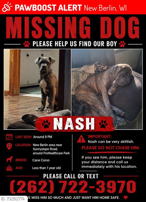 Lost Male Dog last seen Near S Sunnyslope Rd New Berlin, WI 53151 United States, New Berlin, WI 53151