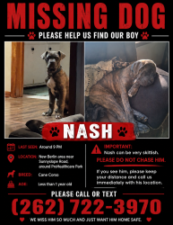 Lost Male Dog last seen Near S Sunnyslope Rd New Berlin, WI 53151 United States, New Berlin, WI 53151
