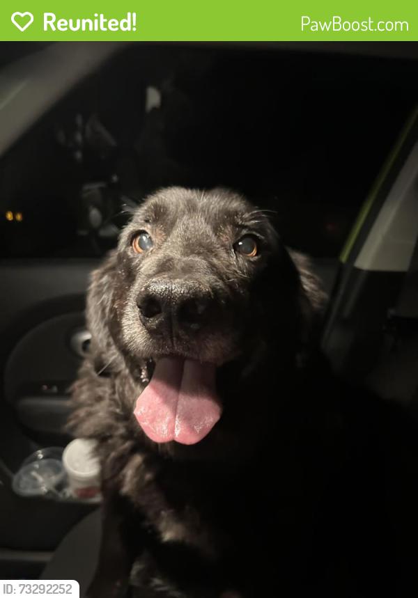 Reunited Male Dog last seen Coffee creek rd between Midwest and Douglas, Edmond, OK 73034