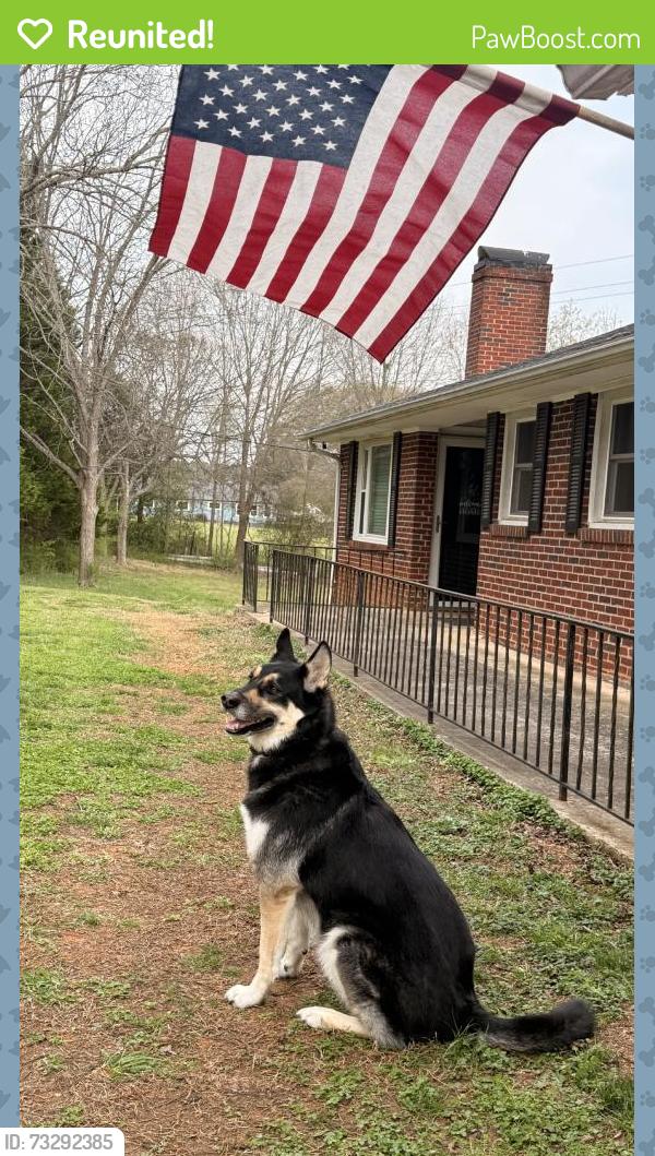 Reunited Male Dog last seen Near 37th St Dr NE, Hickory, NC 28601, USA, Hickory, NC 28601