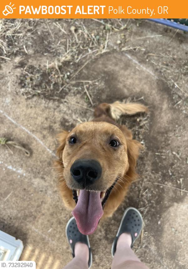 Found/Stray Female Dog last seen Highway 22, Polk County, OR 97378