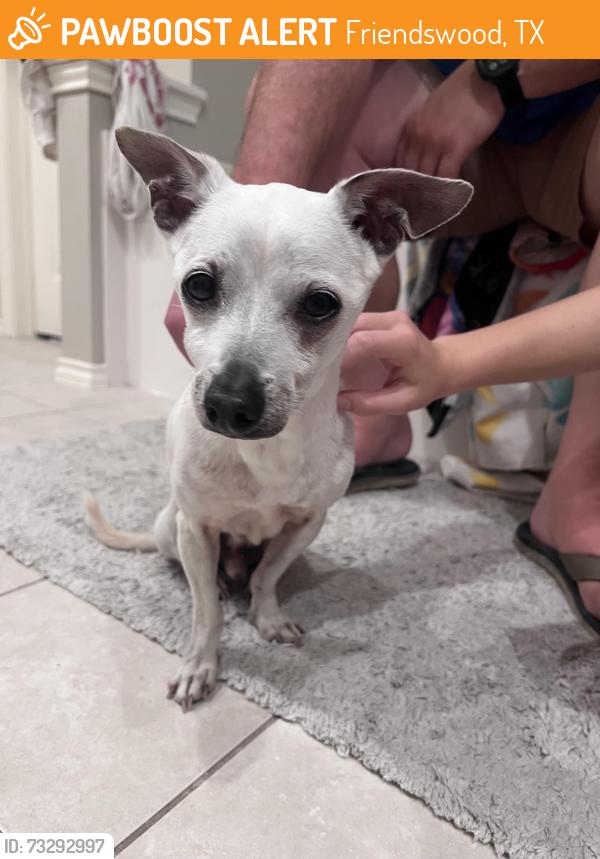 Found/Stray Male Dog last seen Forest of Friendswood, Friendswood, TX 77546